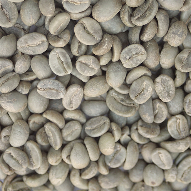 Picture of Colombia Organic Sierra Nevada beans