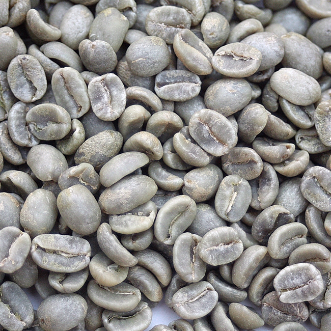 Pictures of Costa Rica La Limita Tarrazu beans