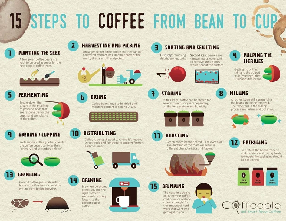 How coffee is made