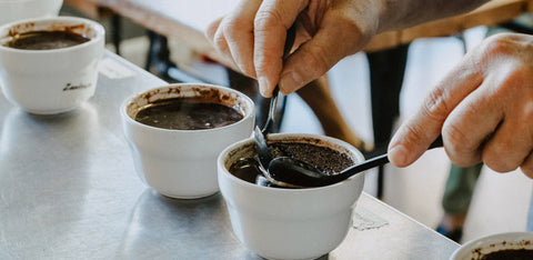 The Coffee Flavor Wheel Guide