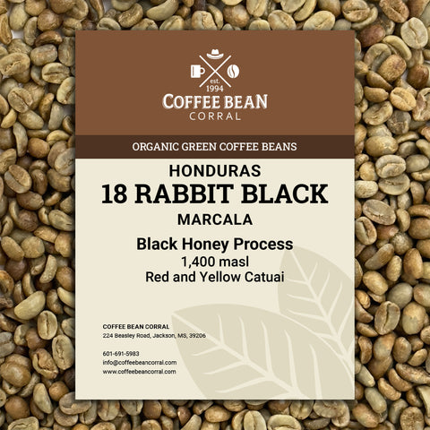 Honduras: Organic 18 Rabbit Black, Marcala