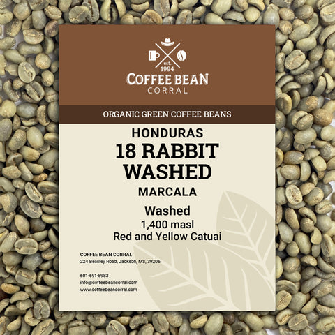 Honduras: Organic 18 Rabbit Washed, Marcala