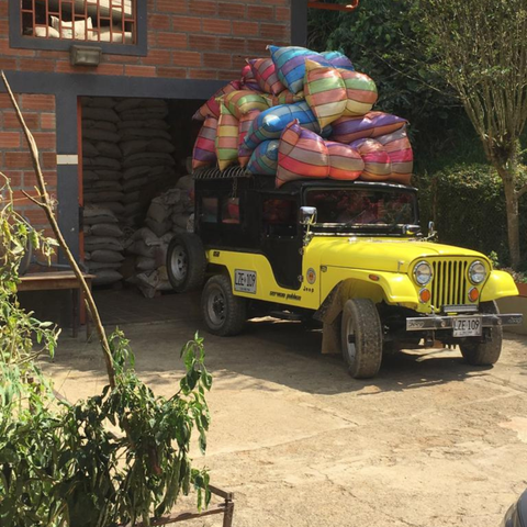 Colombia Paula 20 Brix, Finca Santa Elena