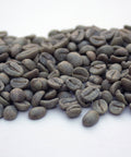 Colombia: Reserva Del Patron, Narino