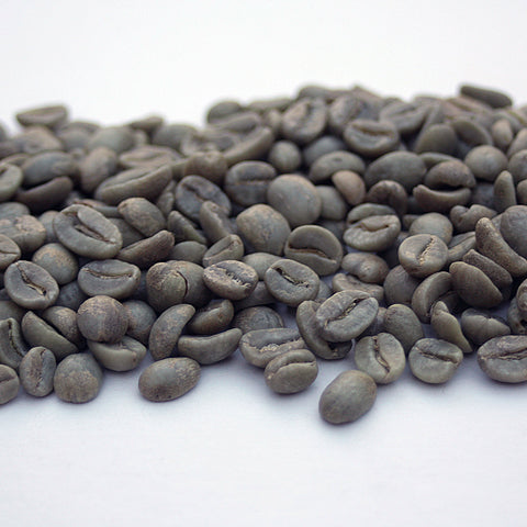 Colombia: Reserva Del Patron, Narino