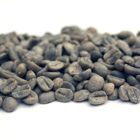 Haiti: Organic Haitian Blue, Norde