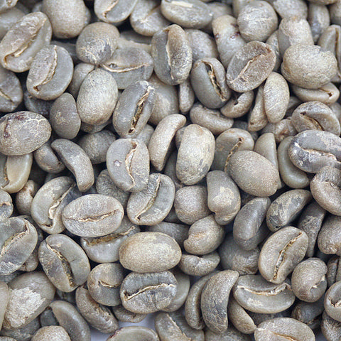 Haiti: Organic Haitian Blue, Norde