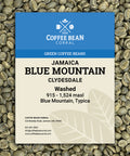 Jamaica: Blue Mountain, Clydesdale