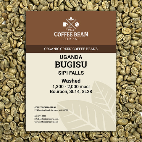 Uganda: Organic Bugisu, Sipi Falls