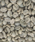 Colombia: Organic Sierra Nevada FTO, Santa Marta