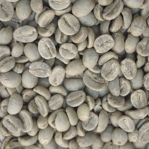 Colombia: Organic Sierra Nevada FTO, Santa Marta