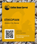 Ethiopia: Queen City, Harrar