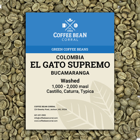Colombia: El Gato Supremo, Bucaramanga