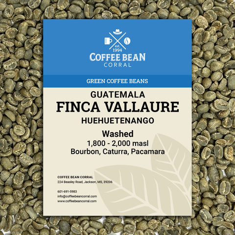 Guatemala: Finca Vallure, Huehuetenango