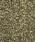 Haiti Organic Haitian Blue