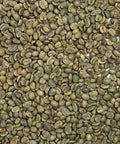 Mexico Turquesa HG Chiapas
