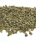 Mexico: Turquesa HG, Chiapas