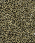 Haitian Blue Pine