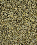Close up picture of Finca La Esperanza Santa Ana beans