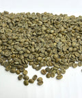 El Salvador: Finca La Esperanza, Santa Ana