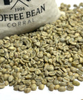 El Salvador: Finca La Esperanza, Santa Ana