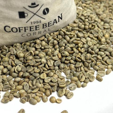 Mexico: Organic Mocabe HG, Chiapas