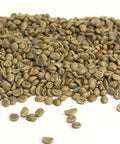 Honduras: Organic 18 Rabbit Yellow, Marcala