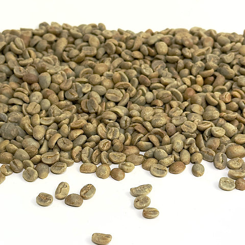 Honduras: Organic 18 Rabbit Yellow, Marcala