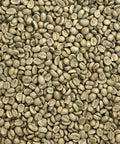 Apolo Coffee