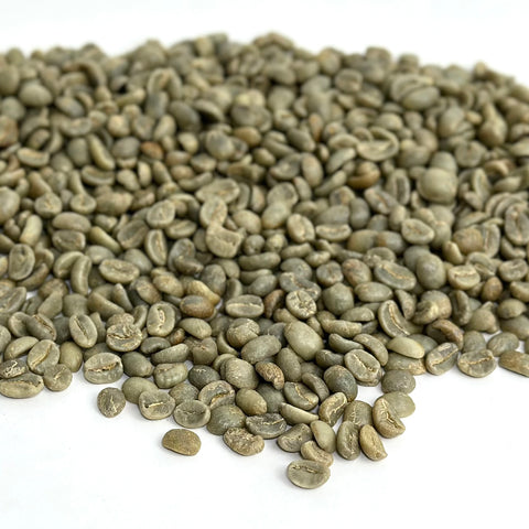 Honduras: Organic 18 Rabbit Washed, Marcala