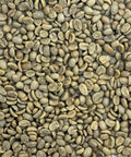 Organic 18 Rabbit Washed Coffee