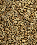 Honduras: Organic 18 Rabbit Black