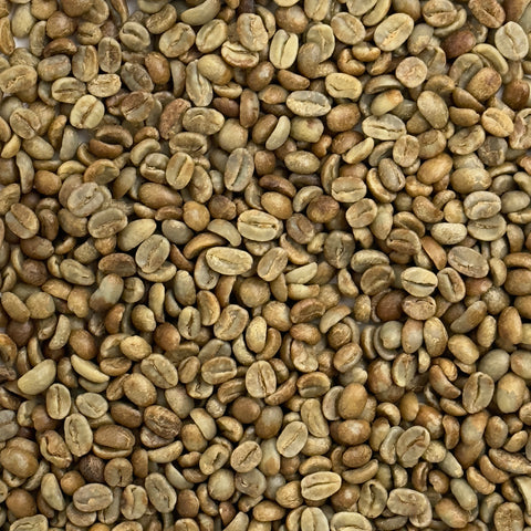 Honduras: Organic 18 Rabbit Black