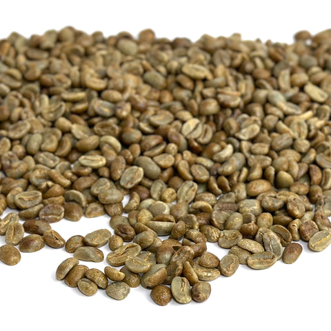 Honduras: Organic 18 Rabbit Black, Marcala