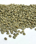 Costa Rica: Organic La Amistad, Coto Brus