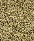 Colombia: Reserva Del Patron, Narino