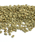 Colombia: Reserva Del Patron, Narino