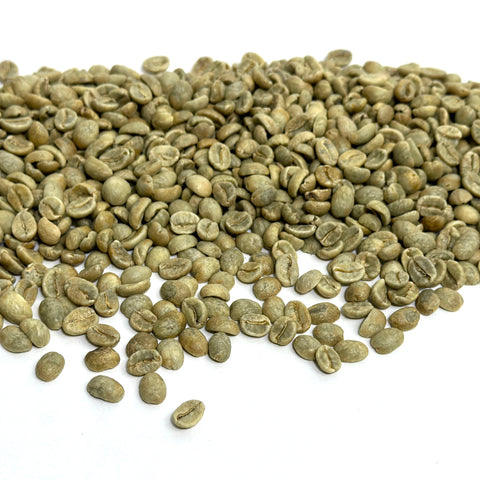 Colombia: Reserva Del Patron, Narino
