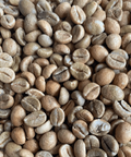 India: Cherry Robusta