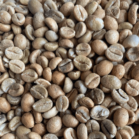India: Cherry Robusta