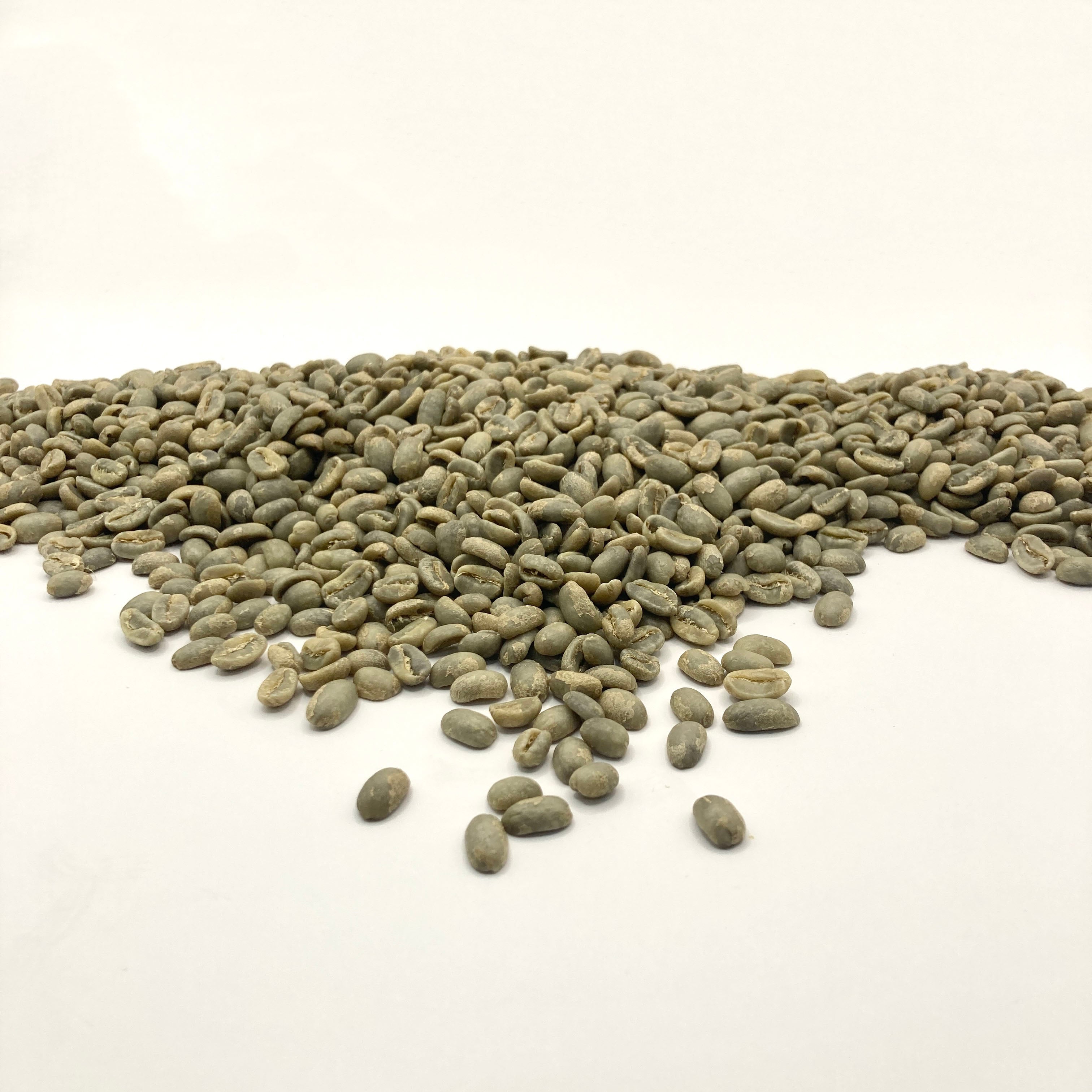 Panama Janson Farm Geisha- 531 – Coffee Bean Corral