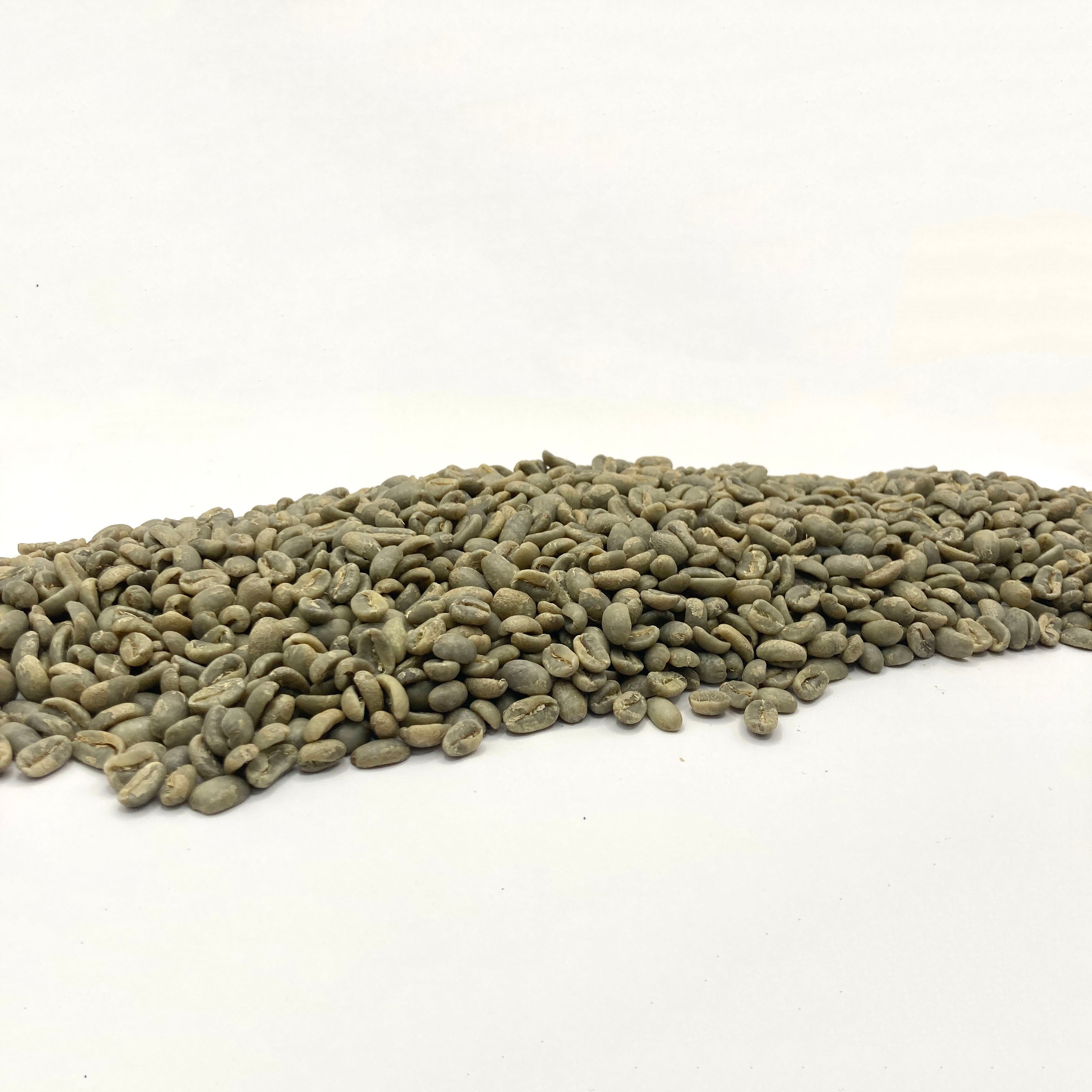 Panama Janson Farm Geisha- 531 – Coffee Bean Corral