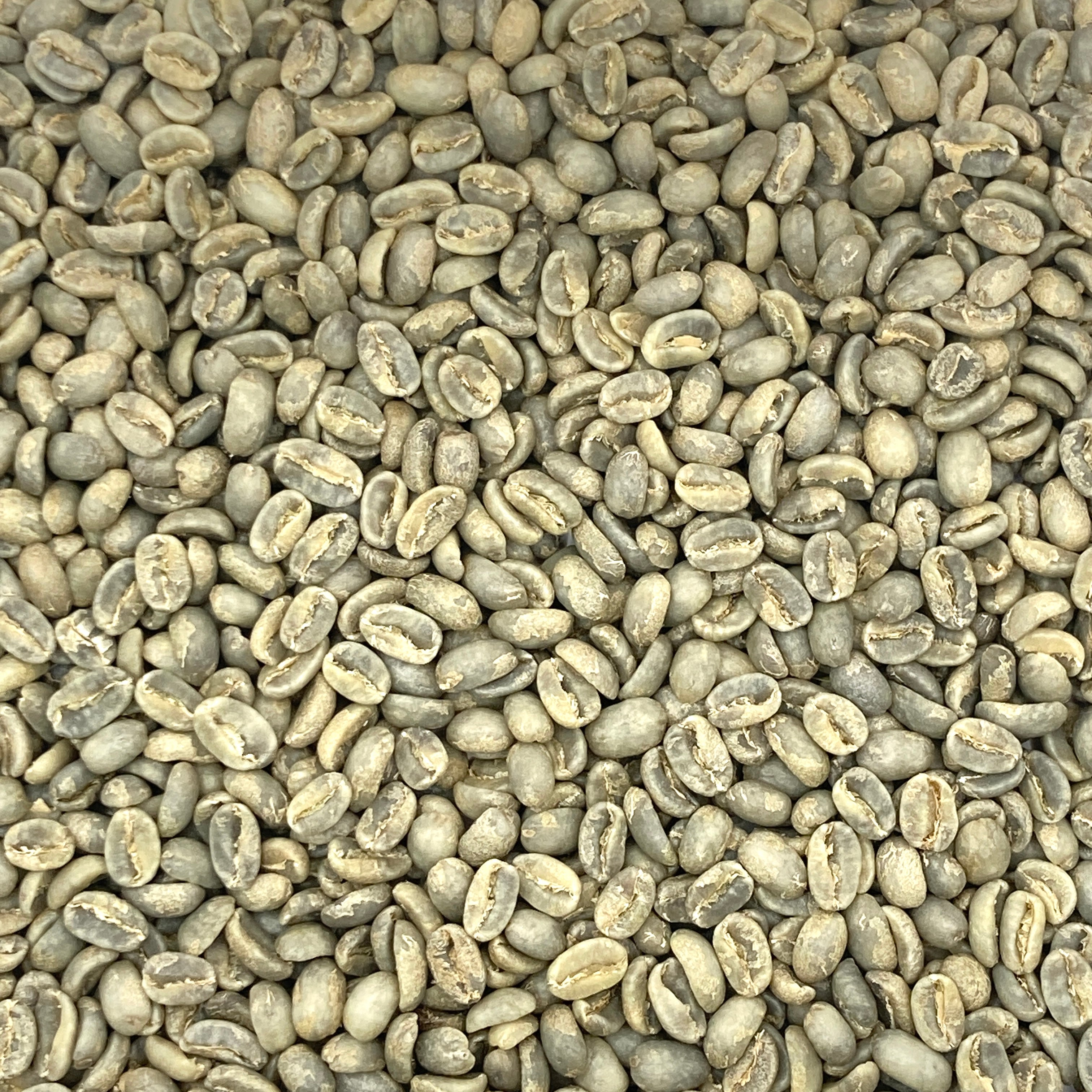 Panama Janson Farm Geisha- 531 – Coffee Bean Corral