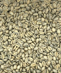 Panama: Janson Farms Geisha