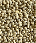 Kenya: Peaberry Plus 15/16, Kirinyaga County