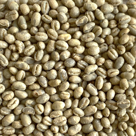 Kenya: Peaberry Plus 15/16, Kirinyaga County