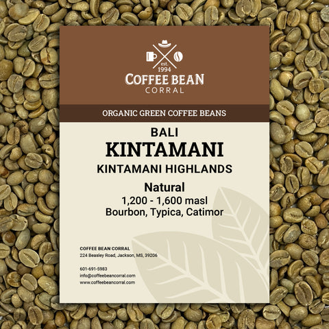 Bali: Kintamani Highlands