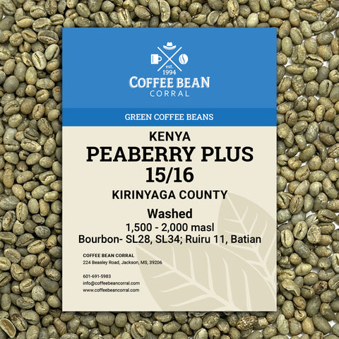 Kenya: Peaberry Plus 15/16, Kirinyaga County