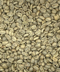 Peru: Organic Finca La Esperanza G1, San Martin