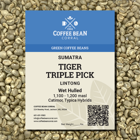 Sumatra: Tiger, Lintong